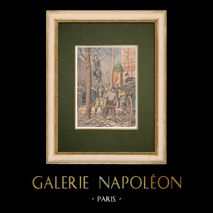 Alte Stiche & Zeichnungen | Schnitt der Bäume in Paris - 1907 | Holzstich | 1907