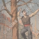 DETAILS 01 | Pruning of trees in Paris - 1907