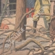 DETAILS 05 | Pruning of trees in Paris - 1907