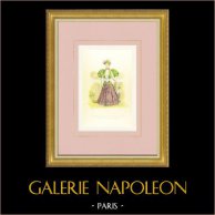 Mode - Frau - Paris - Sommer 1895 - Costume Jupe Tricot Quadrillé Soie Corsage Taffetas Glacé | Original lithografie. Anonym. Handaquarelliert. 1895