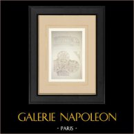 Decorazione di una volta a crociera (Quatesous) | Auto-incisione originale disegnata da Quatesous. 1880