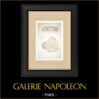 Decorazione di una volta a crociera (Devienne) | Auto-incisione originale disegnata da Devienne. 1880