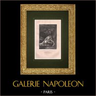 La Druidess e il Skald - Poesia Scandinavia - Féerie du Nord   | Litografia originale disegnata da Rheal, litografata da Soler. 1843