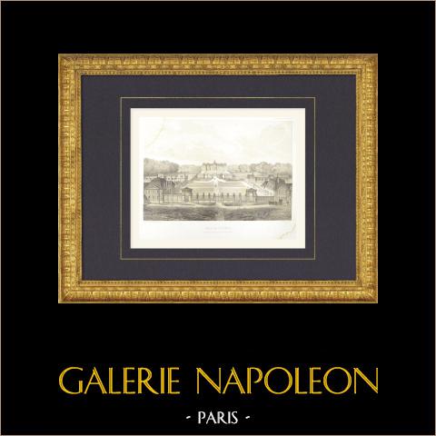 General Sicht der Schloss Vaux-le-Vicomte - Seine-et-Marne (Frankreich) | Original lithografie gezeichnet und lithographiert von Fichot. 1858
