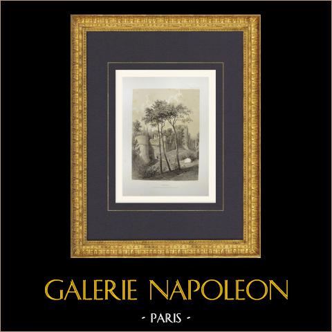 Blick auf die alten Befestigungsanlagen von Provins - Trou au Chat - Seine-et-Marne (Frankreich) | Original lithografie gezeichnet von Fichot, lithographiert von Ciceri. 1858