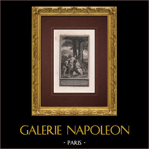 Le avventure di Zeloid | Incisione originale all'acquaforte su carta vergata disegnata da Marillier, incisa da Delvaux. 1785