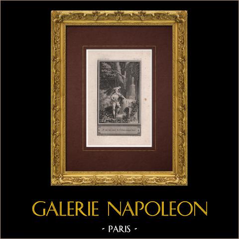 La piccola rana verde | Incisione originale all'acquaforte su carta vergata disegnata da Marillier, incisa da De Ghendt. 1785