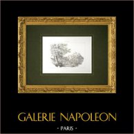 Veduta di Castel Gandolfo - Roma - Lazio - Santa Sede (Italia) | Litografia originale disegnata da Villeneuve, litografata da Turgis. 1835