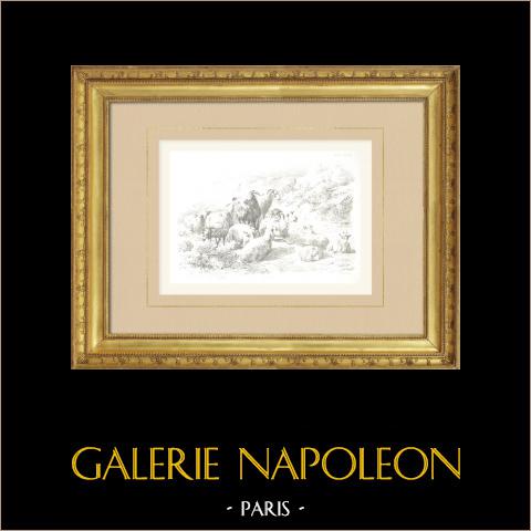 Gravure ancienne de George Vicat COLE des années 1800